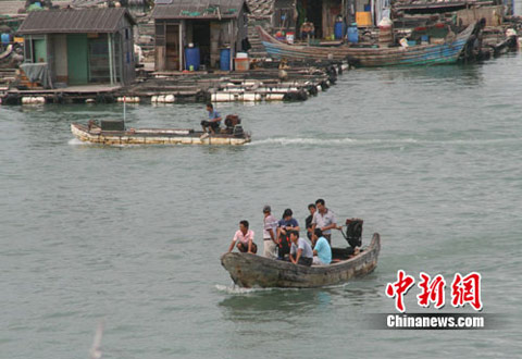 福建东山海面养殖渔排上136位老弱妇幼己安全转移上岸。 福建东山海面养殖渔排上136位老弱妇幼己安全转移上岸。