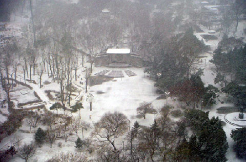 昨天沈阳降下今冬初雪,图为雪中的中山公园。(来源:东北新闻网) 昨天沈阳降下今冬初雪,图为雪中的中山公园。(来源:东北新闻网)