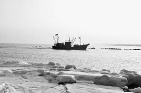 秦皇岛昌黎新开口码头的海冰景象（张克凡 摄）