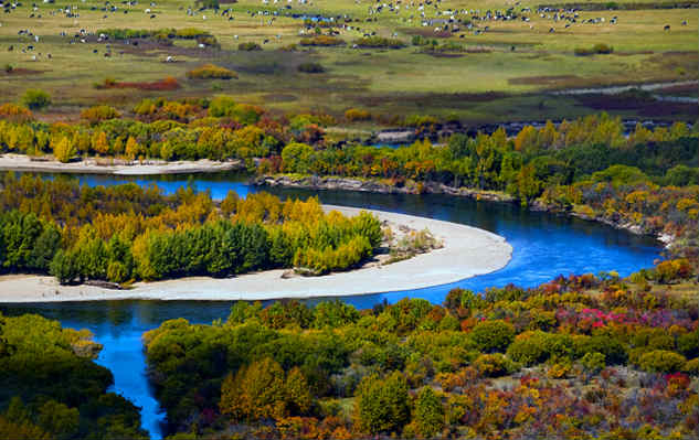 2015世界湿地日主题：湿地 我们的未来